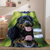 Cute Animals Soft Flannel Fleece Throw Blanket