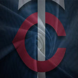 Minnesota Twins Bedding Set Quilt Cover Without Filler