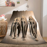 Cute Animals Soft Flannel Fleece Throw Blanket Comforter Bedding Sets - EBuycos