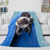 Pet Puppy Dog Flannel Blanket Comforter Bedding Sets for All Seasons - EBuycos
